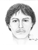 Composite sketch of suspect