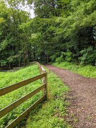 Catonsville Community Park pathway