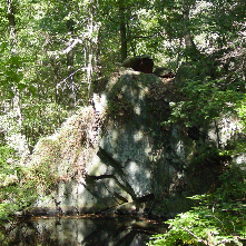 A rock in Double Rock Park